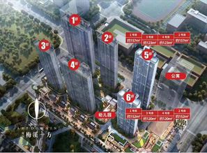网红盘 梅溪湖 地铁口 精装12500 南山 梅溪一方出场自带bgm