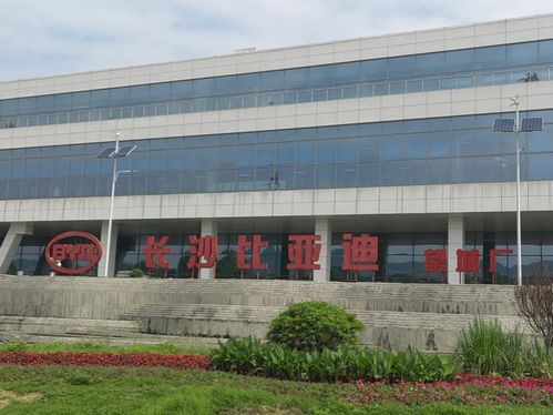 本月离职名额已满 比亚迪长沙工厂 排队辞职 现象调查