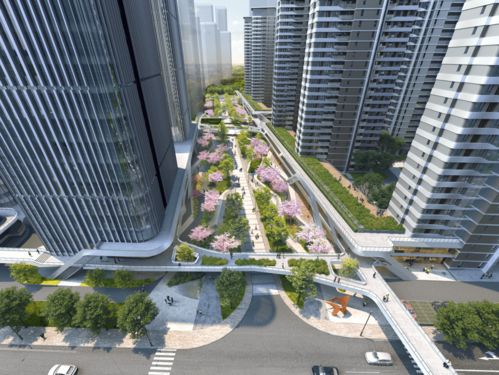 2021年上半年产品力 ▏长沙高端入围项目 路演报告 2 4