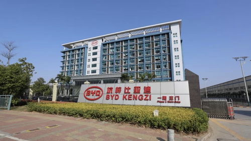 在比亚迪工作是一种怎样的生活