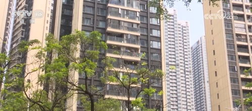 盘活存量 化解风险 提振信心 我国设立3000亿元保障性住房再