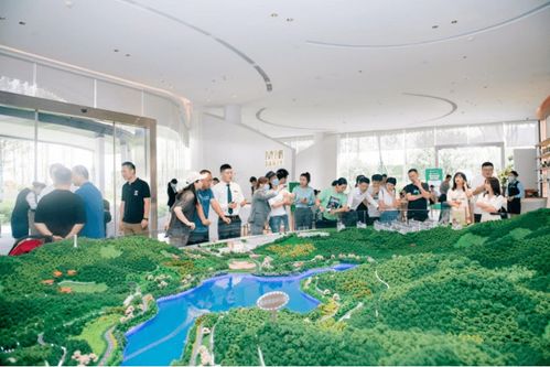 对话城市,品鉴湖山 祥源 森林之光纯生态样板间惊艳绽放