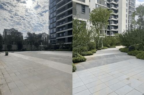 长沙年中交付 大考 ,谁是交出满意答卷的 优等生